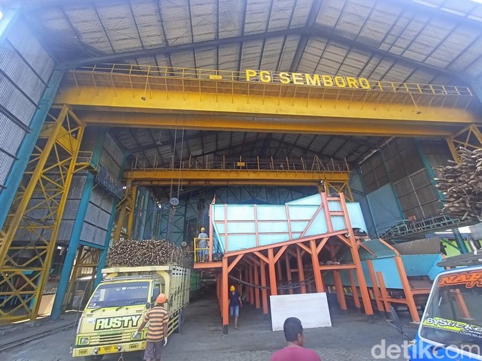 Pemerintah Jember Mencari Solusi untuk Para Petani Tebu 8.500 Ton Gula Menumpuk di Gudang PG Semboro Jember Pemerintah Jember Mencari Solusi untuk Para Petani Tebu 8.500 Ton Gula Menumpuk di Gudang PG Semboro Jember